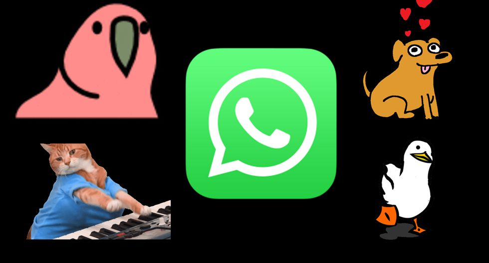 How to activate the animated stickers of WhatsApp - The Guns Of Glory